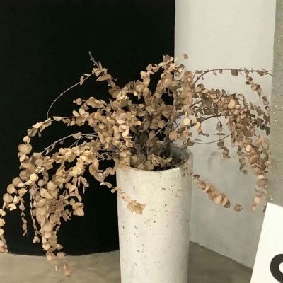 Furry插画光影营造Furry群